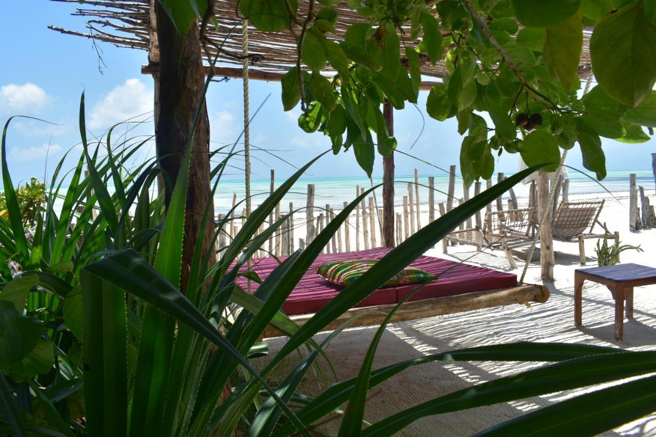 Meliks Hotell Jambiani  Exteriör bild